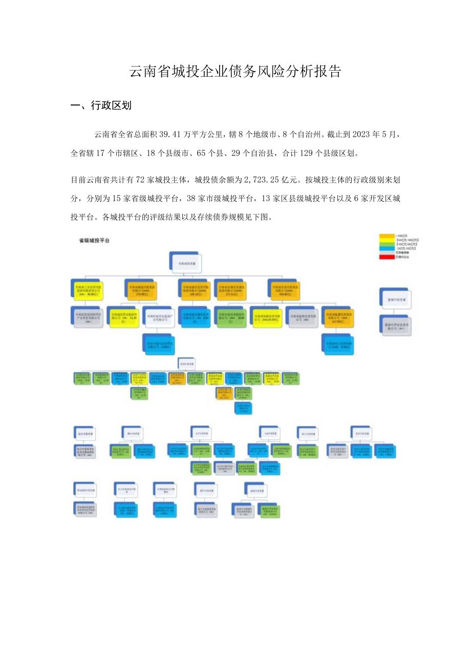 债务风险自评报告.docx_第1页