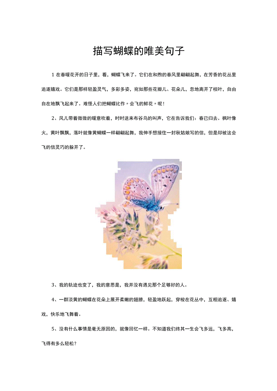 描写蝴蝶的唯美句子.docx_第1页