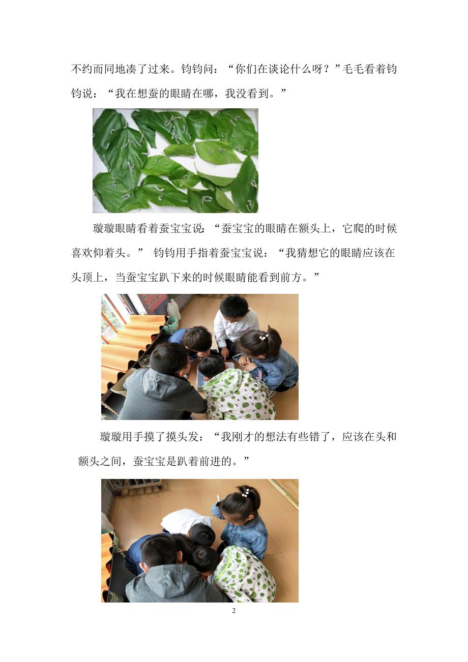 幼儿园观察记录：可爱的蚕宝宝.doc_第2页