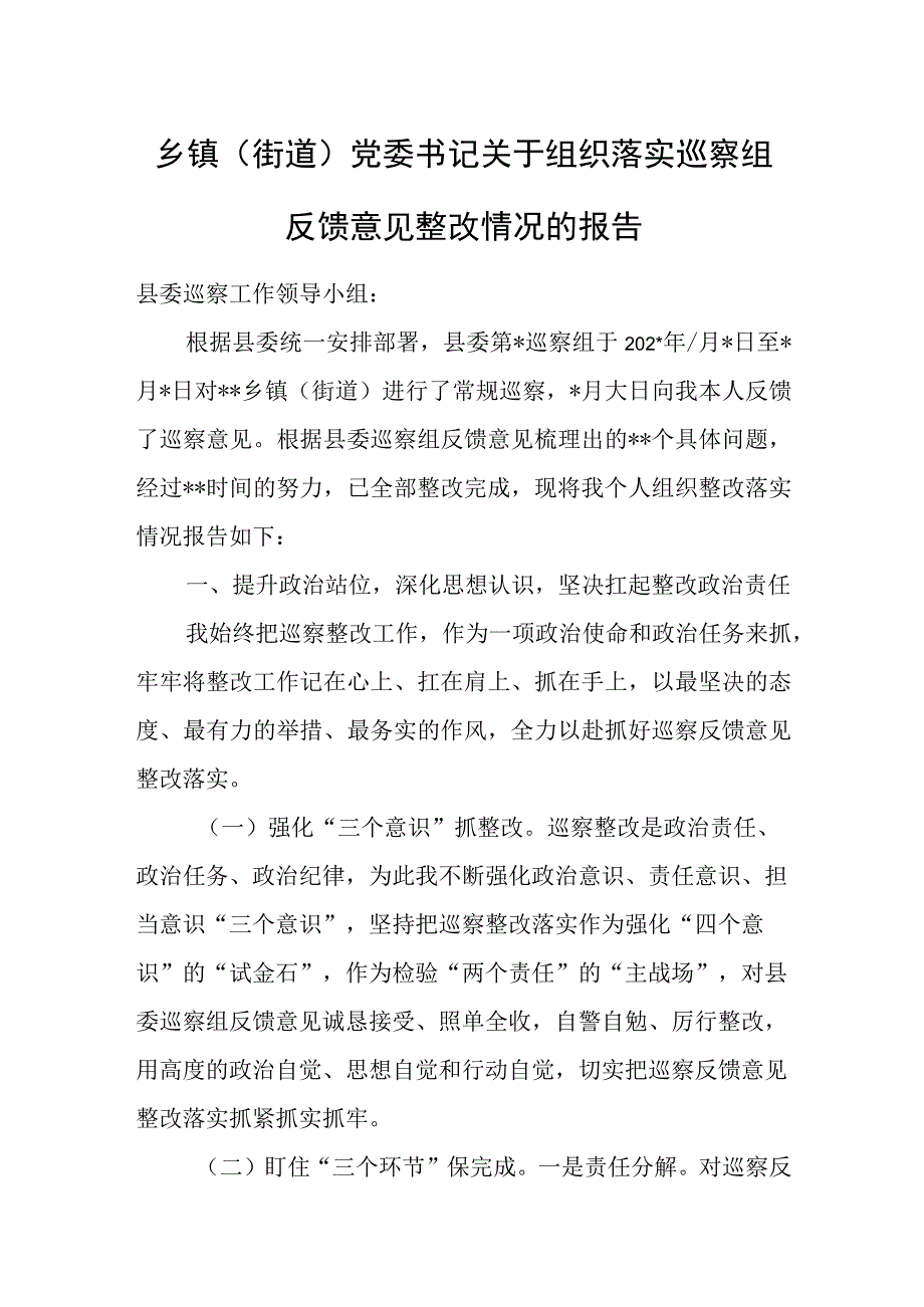 村党支部召开巡视整改专题组织生活会情况报告.docx_第3页