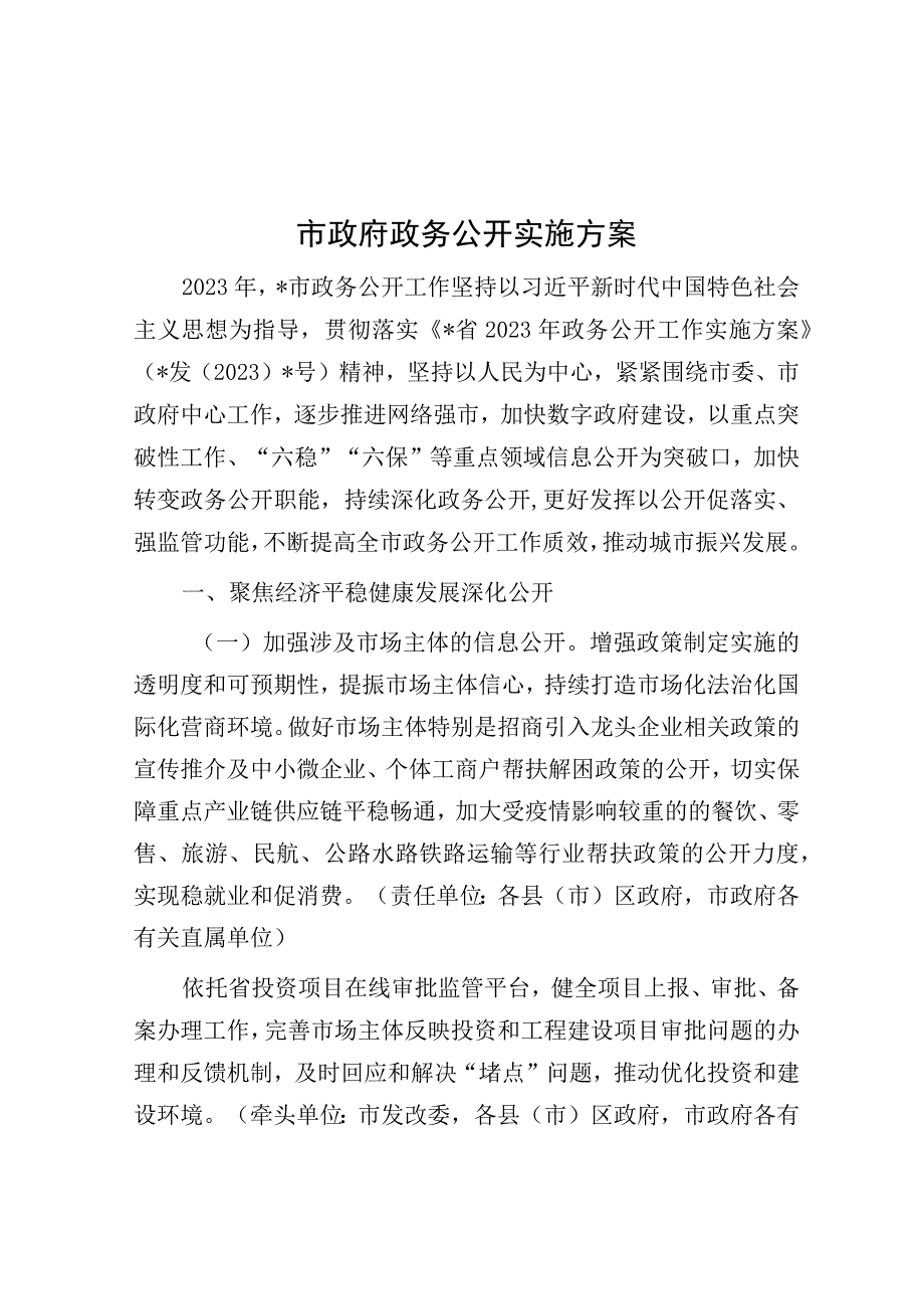 政务公开实施方案（市政府）.docx_第1页