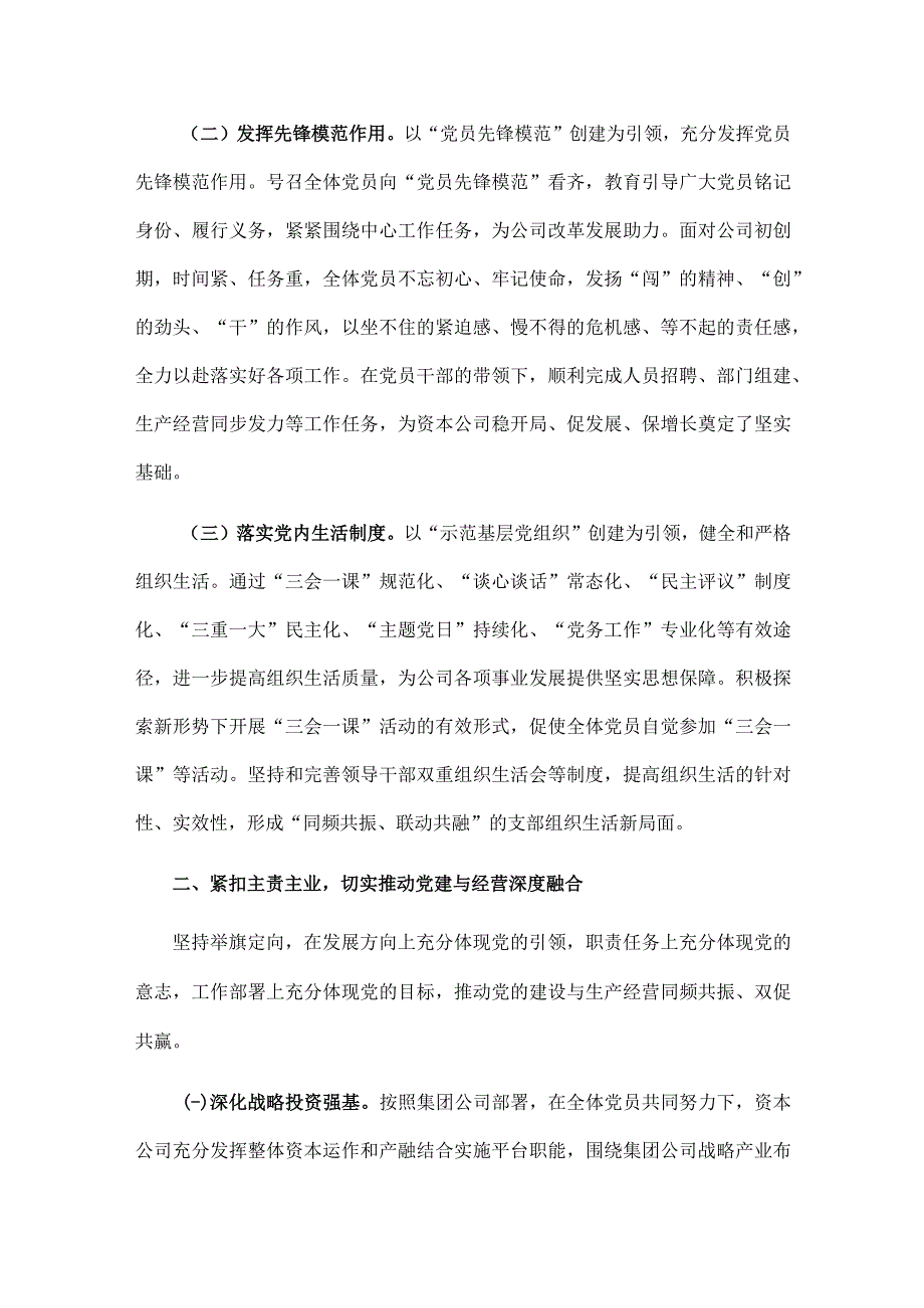 资本公司“示范基层党组织”申报材料.docx_第3页