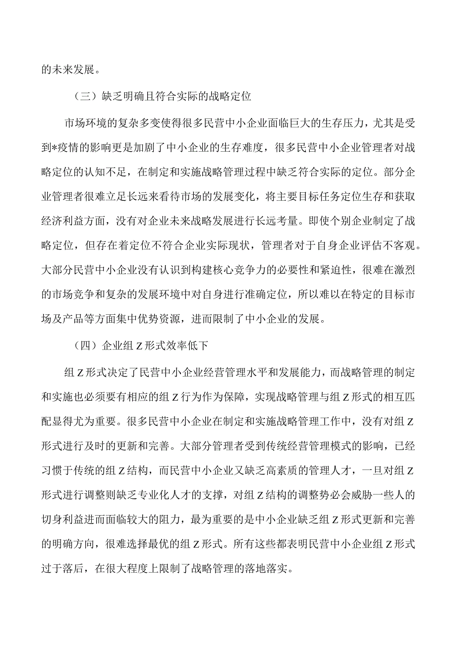 民营中小企业战略管理问题及对策研究.docx_第2页