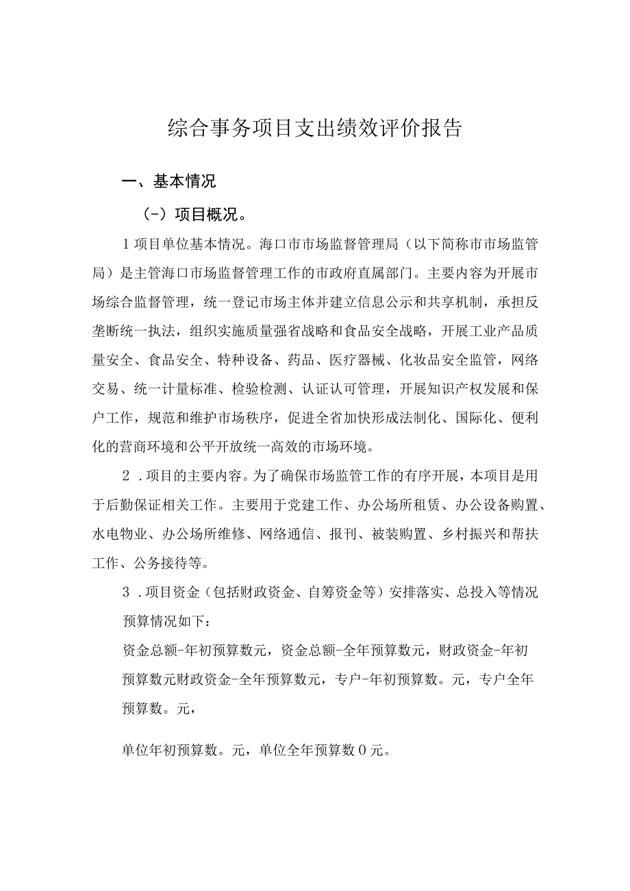 综合事务项目支出绩效评价报告.docx_第1页