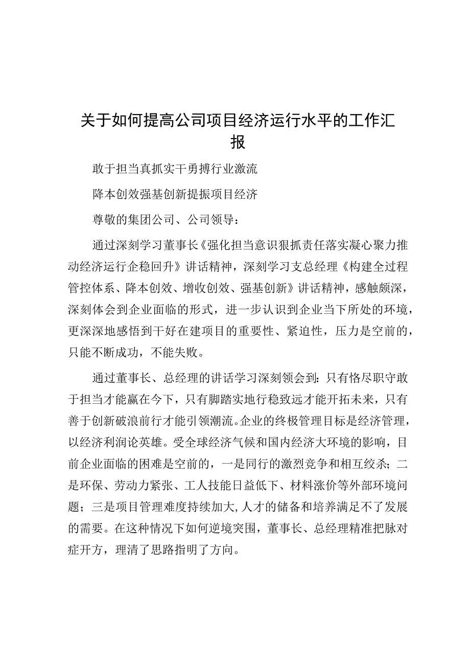 提高公司项目经济运行水平工作汇报.docx_第1页