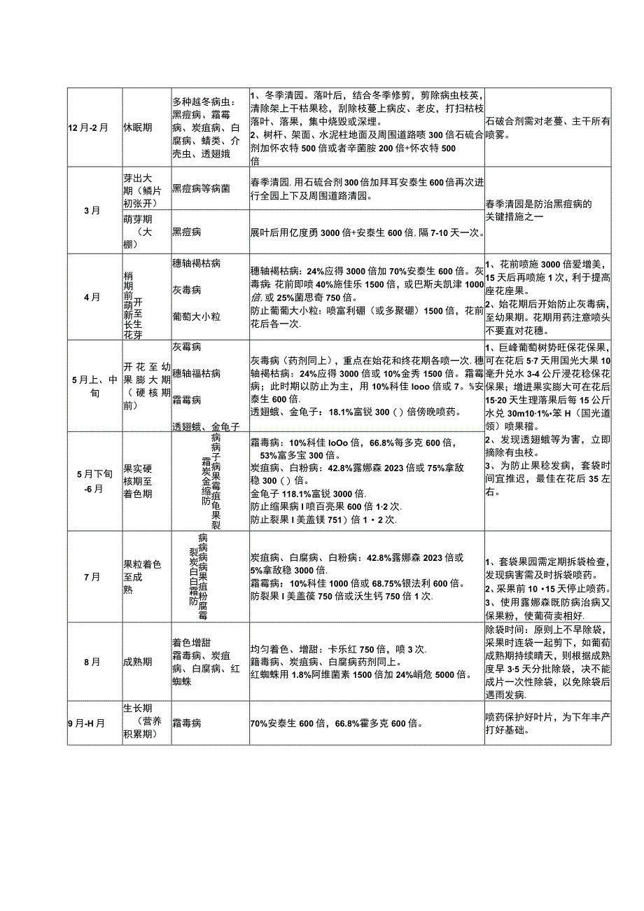 高效管理葡萄全程的最佳方案.docx_第2页