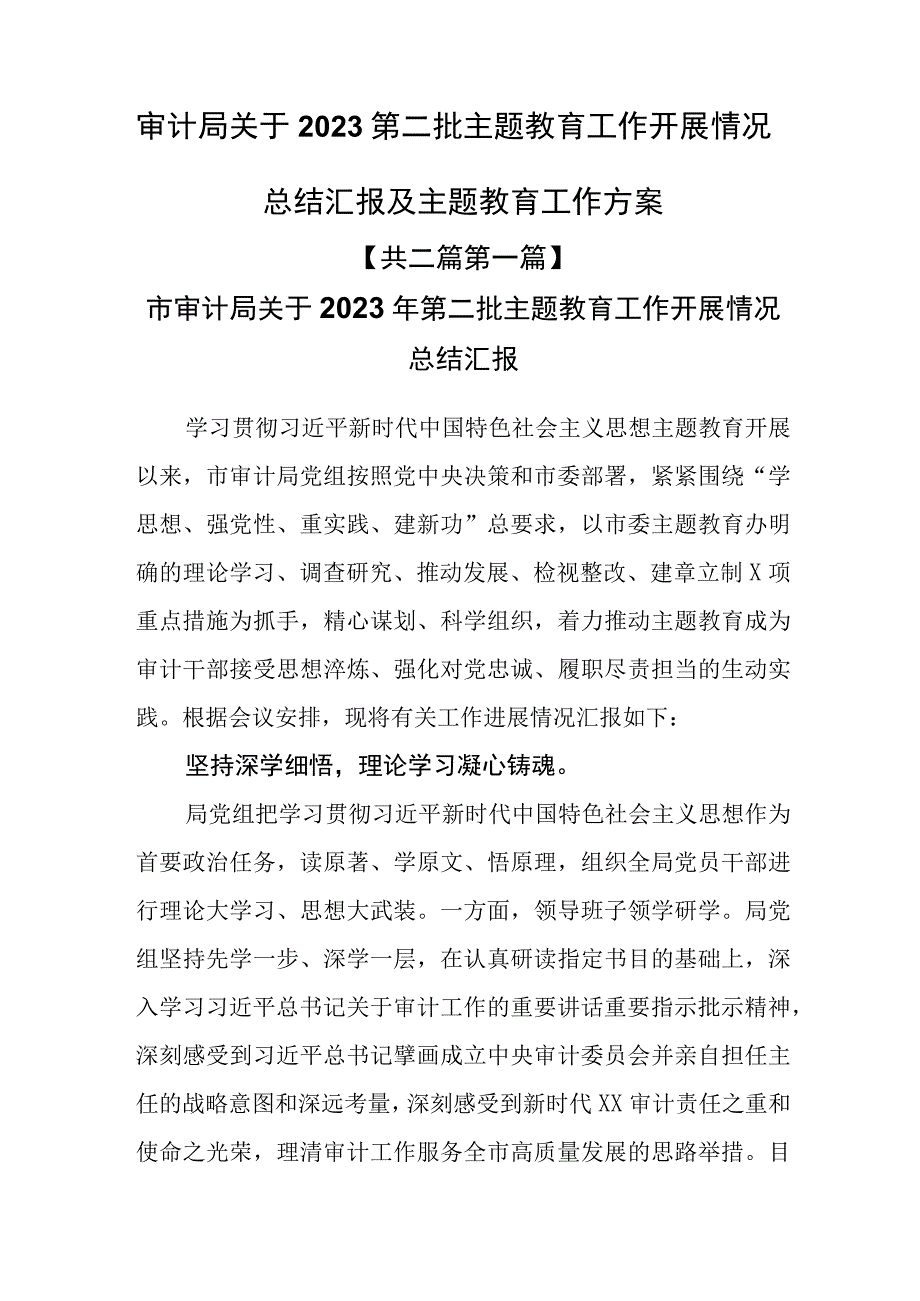 （2篇）审计局关于2023第二批主题教育工作开展情况总结汇报及主题教育工作方案.docx_第1页