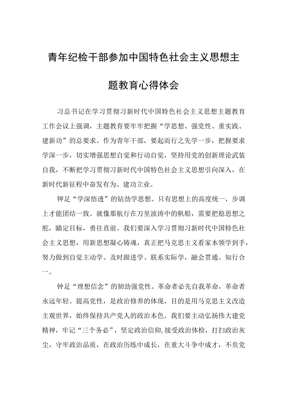 青年纪检干部参加中国特色社会主义思想主题教育心得体会心得体会.docx_第1页