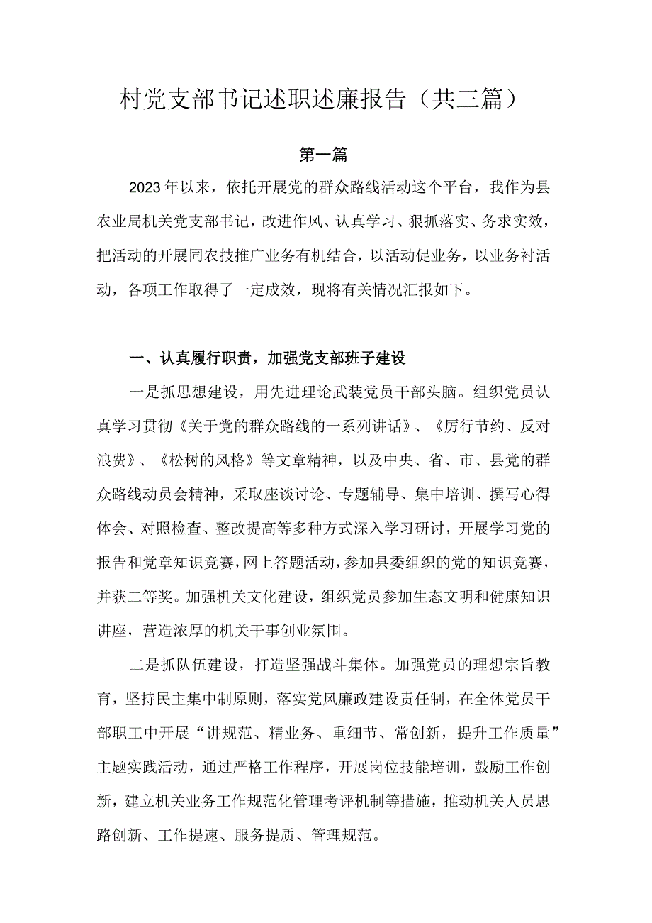 村党支部书记述职述廉报告.docx_第1页