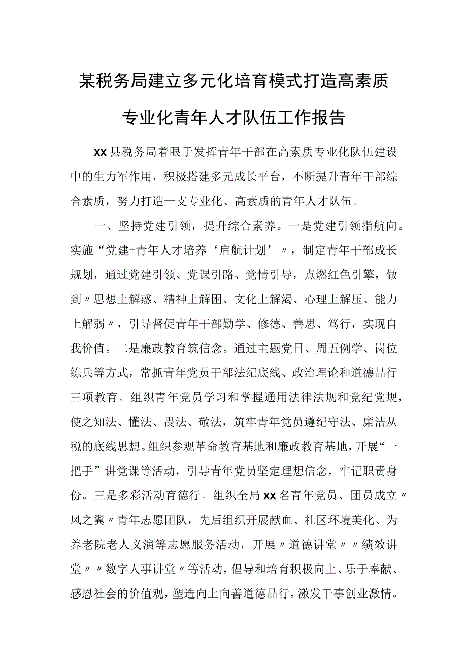 某税务局建立多元化培育模式打造高素质专业化青年人才队伍工作报告.docx_第1页