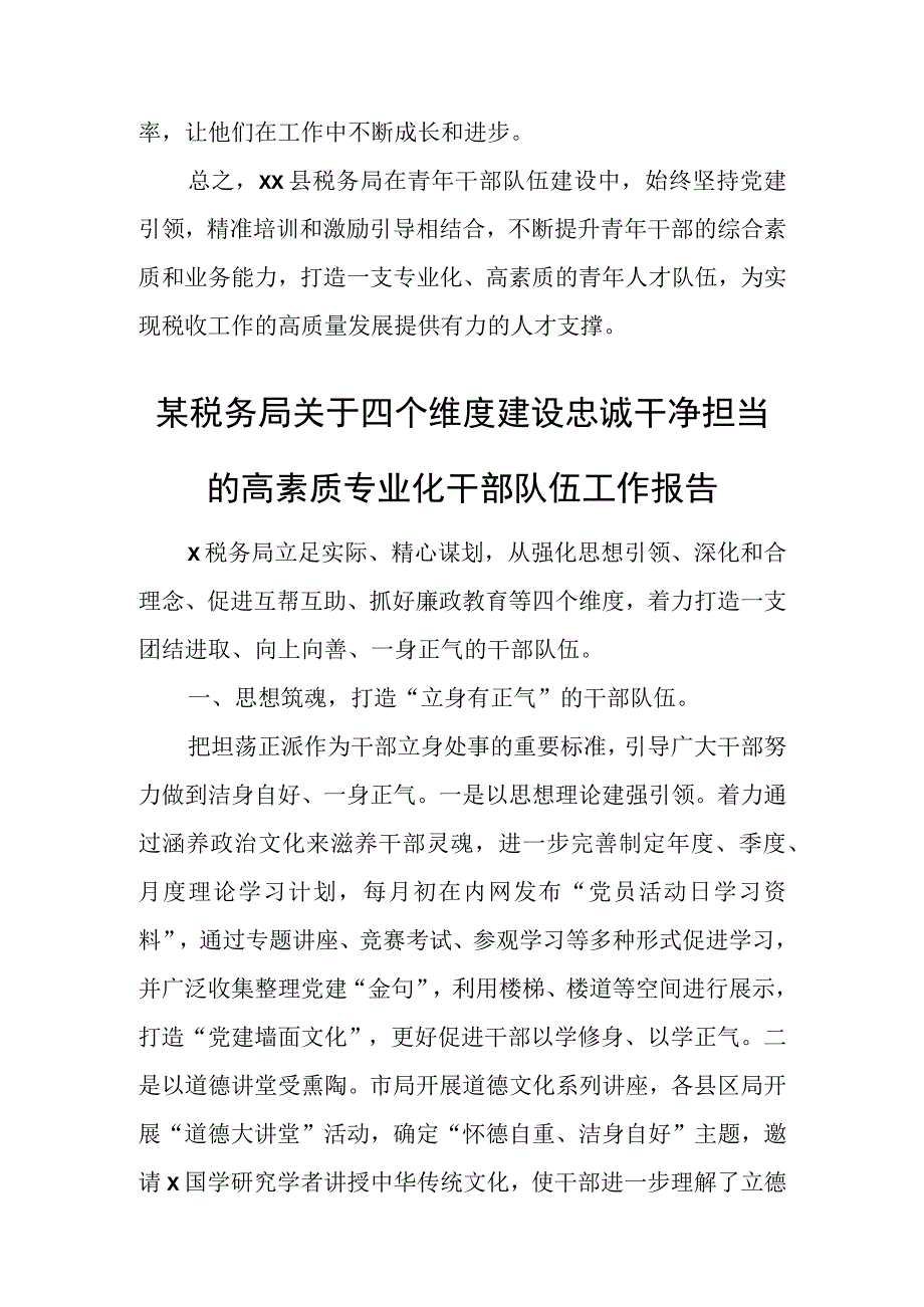 某税务局建立多元化培育模式打造高素质专业化青年人才队伍工作报告.docx_第3页