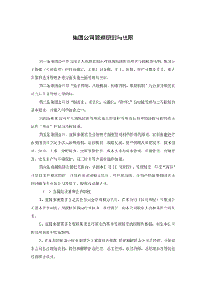 集团公司管理原则与权限.docx