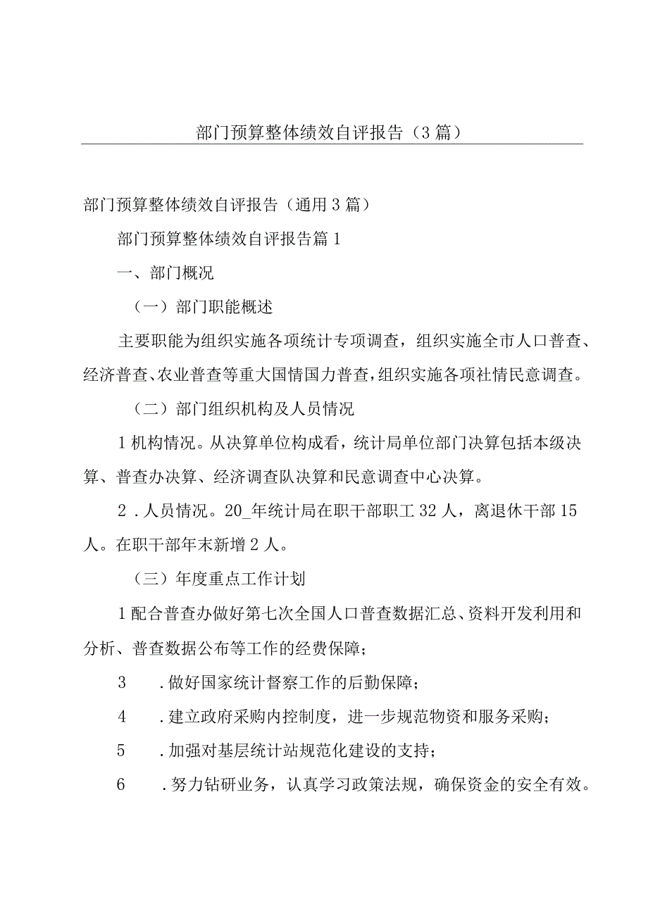 部门预算整体绩效自评报告（3篇）.docx_第1页