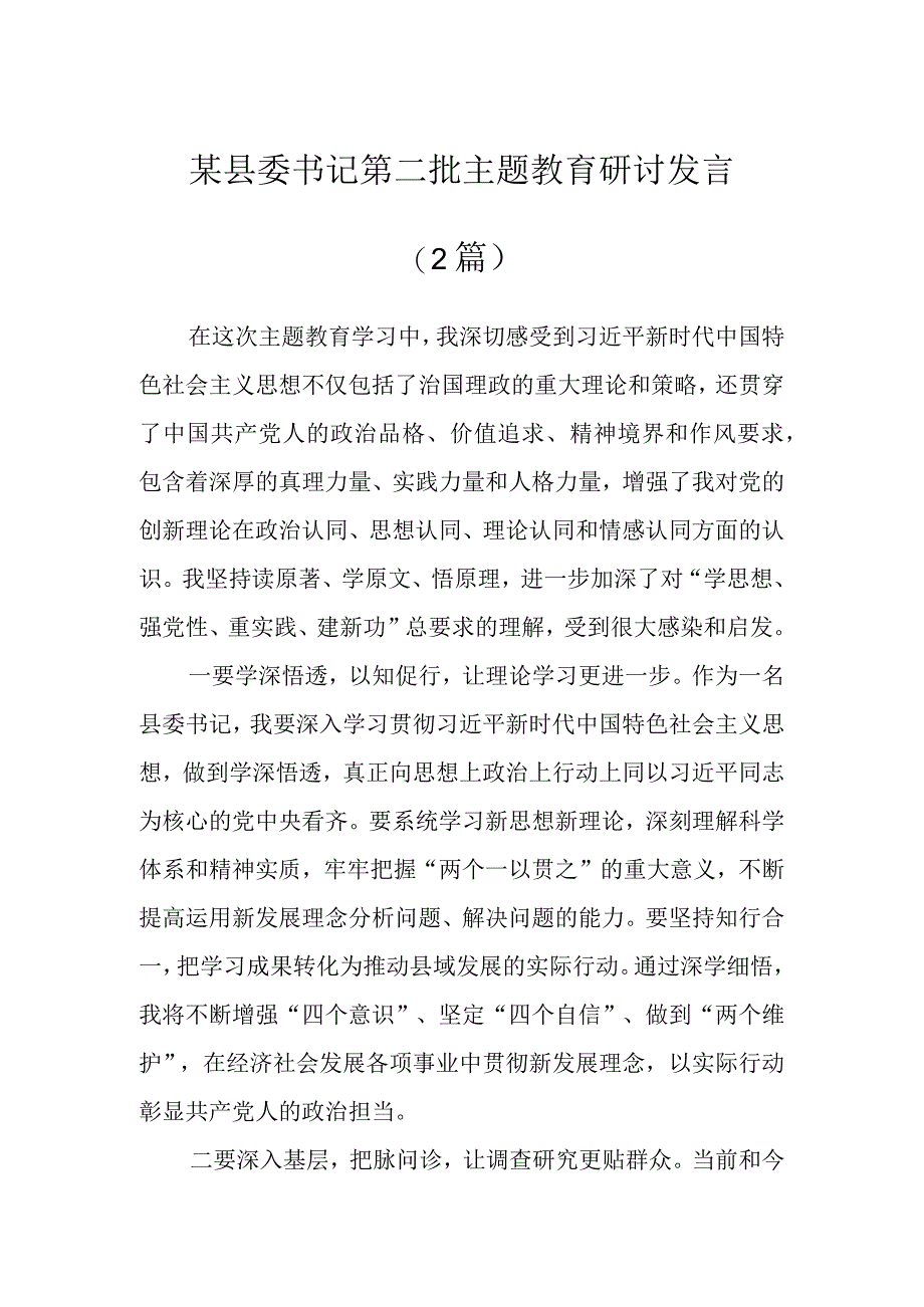 某县委书记第二批主题教育研讨发言（2篇）.docx_第1页