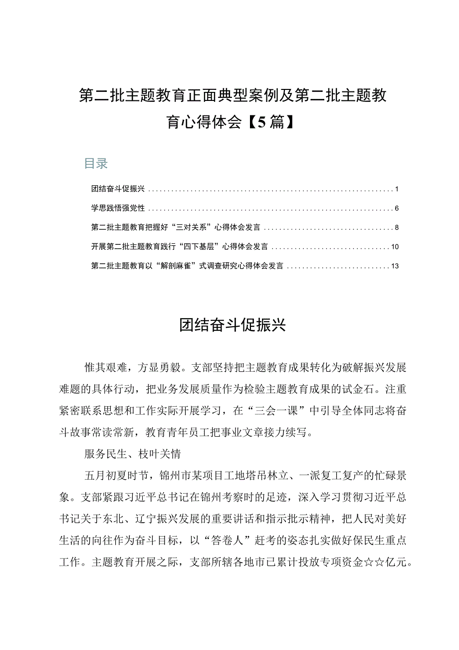 第二批主题教育正面典型案例及第二批主题教育心得体会【5篇】.docx_第1页