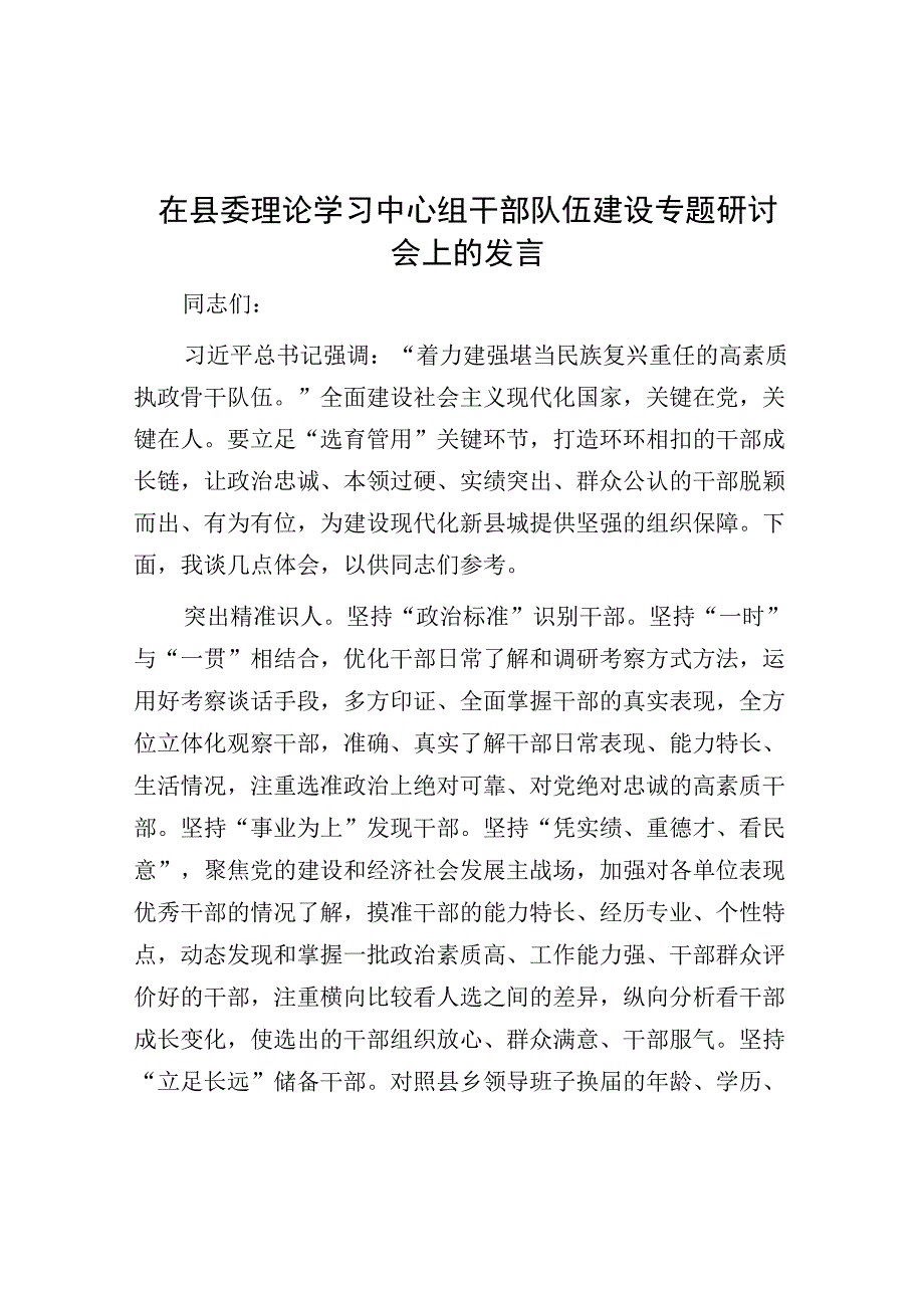 研讨发言：中心组“干部队伍建设”专题交流材料.docx_第1页