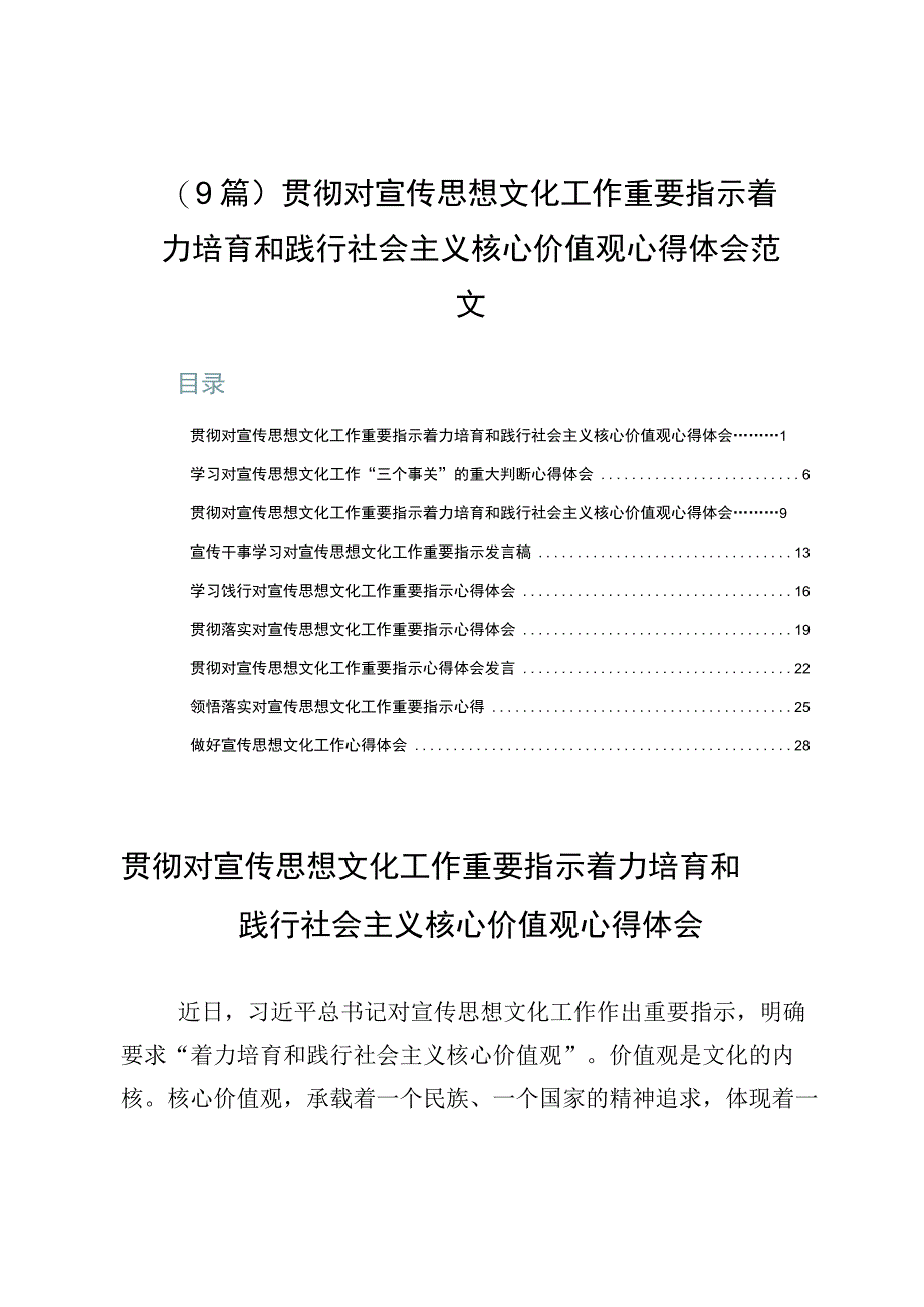 （9篇）贯彻对宣传思想文化工作重要指示着力培育和践行社会主义核心价值观心得体会范文.docx_第1页