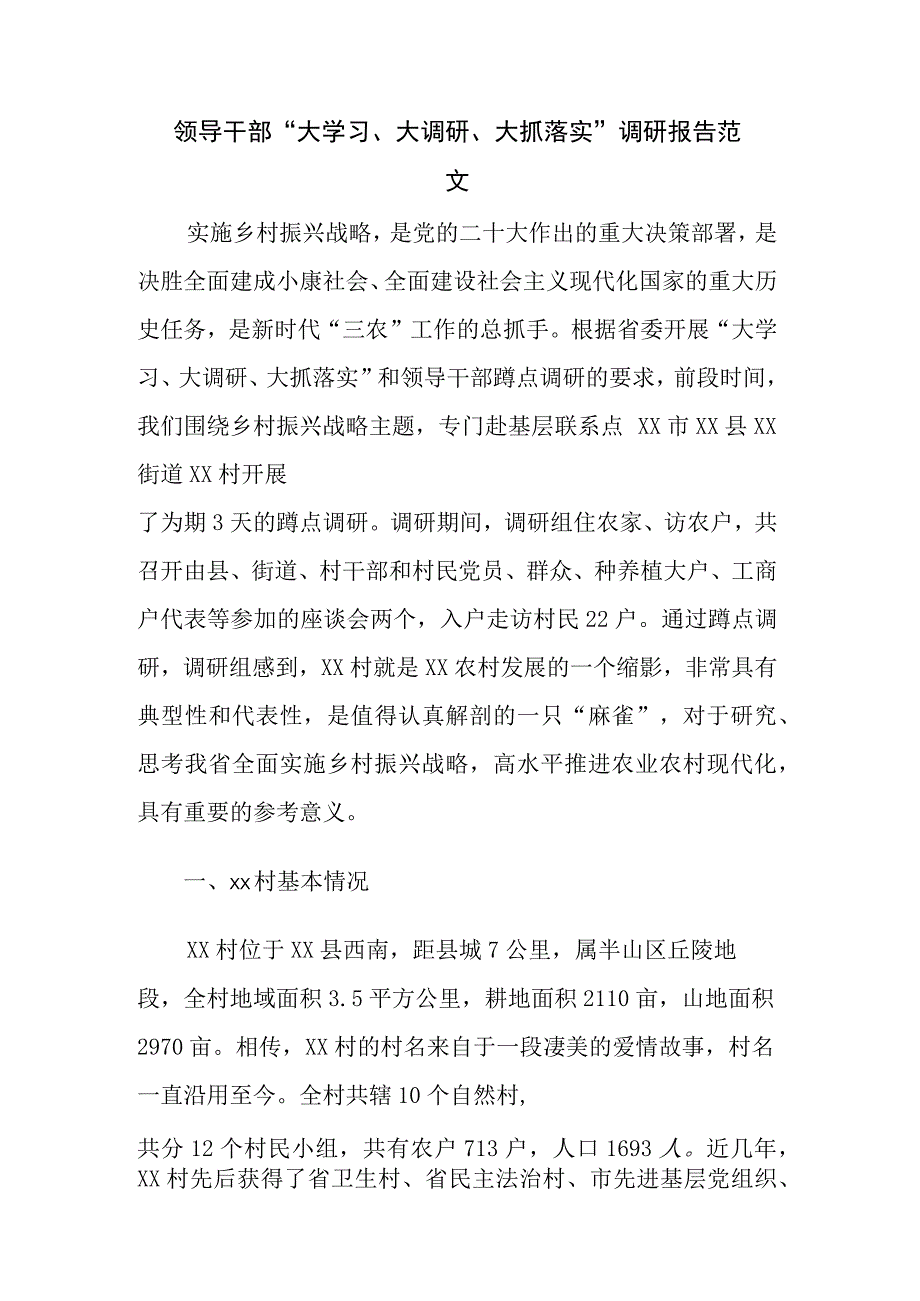 领导干部“大学习、大调研、大抓落实”调研报告范文.docx_第1页