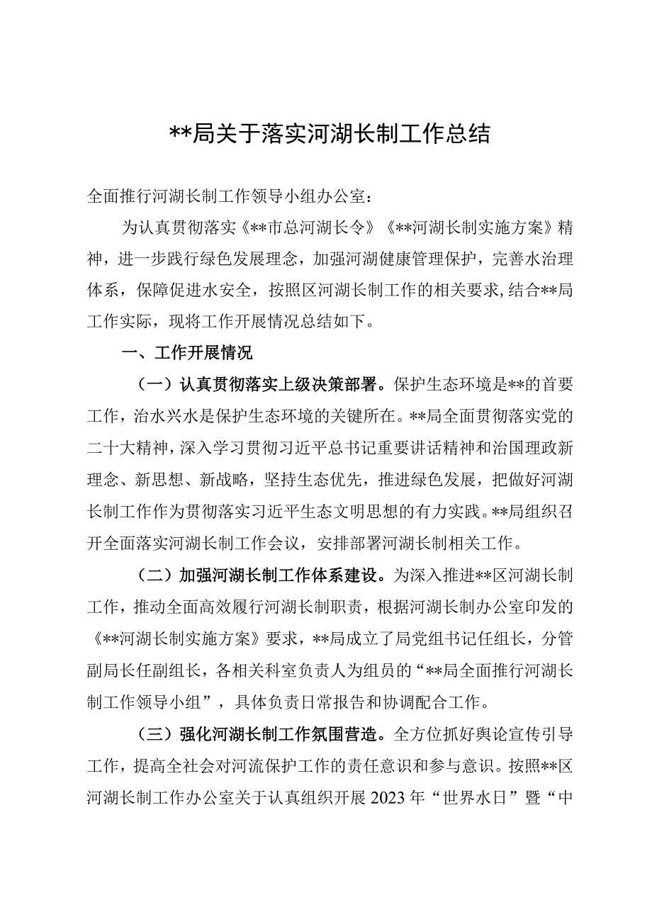 河湖长制工作总结.docx_第1页