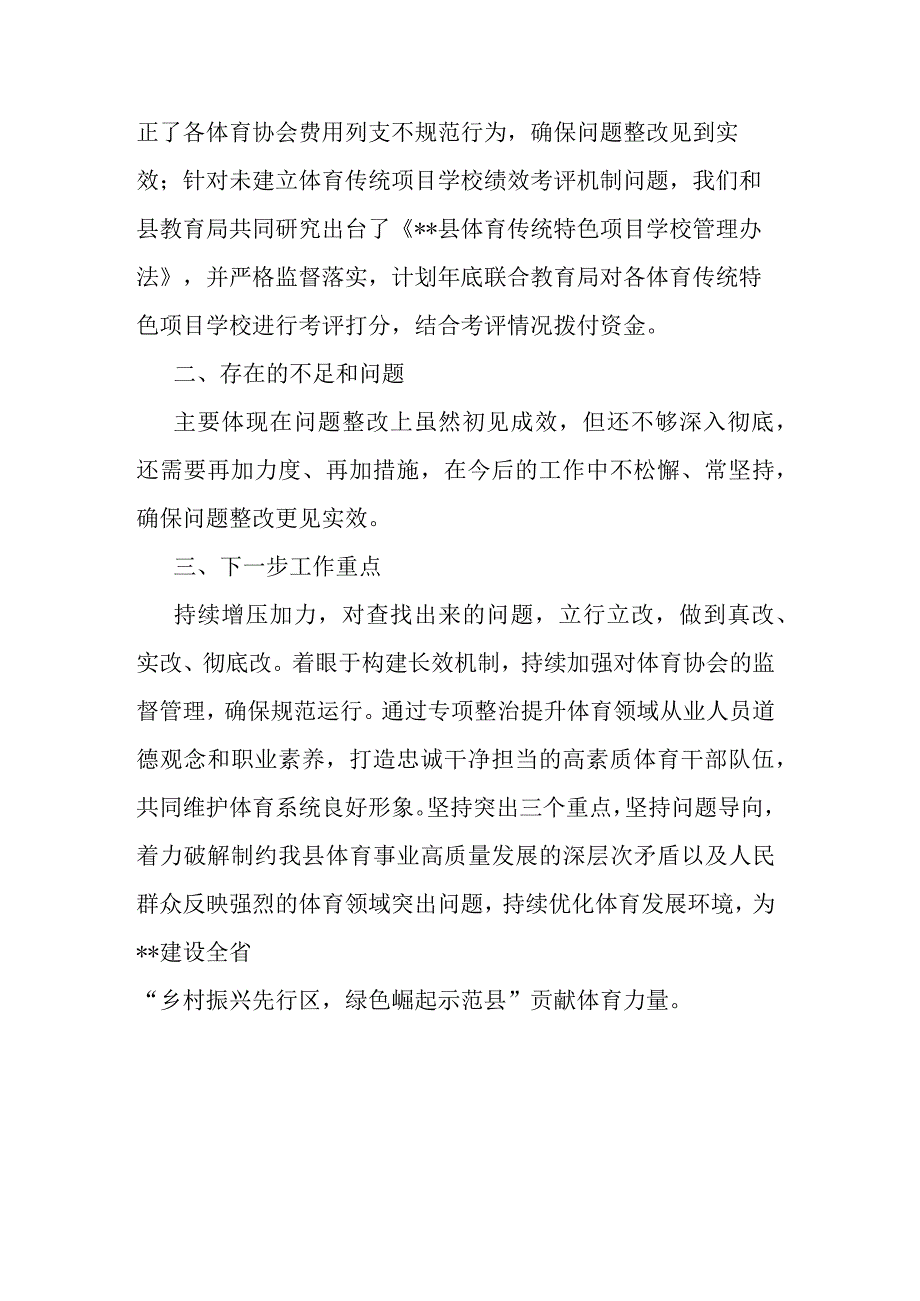 开展体育领域突出问题专项整治工作情况汇报.docx_第3页