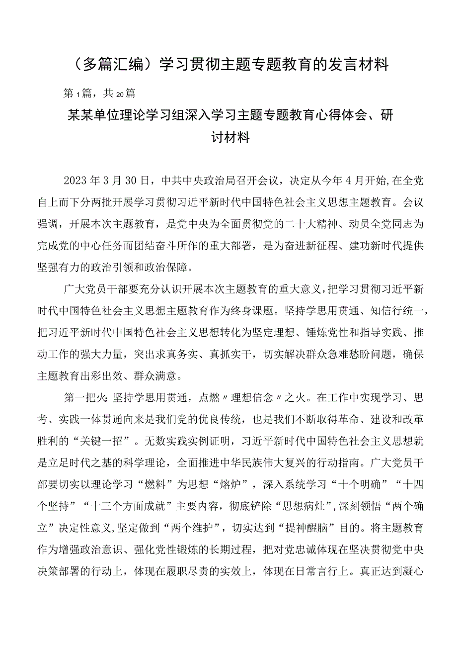 （多篇汇编）学习贯彻主题专题教育的发言材料.docx_第1页