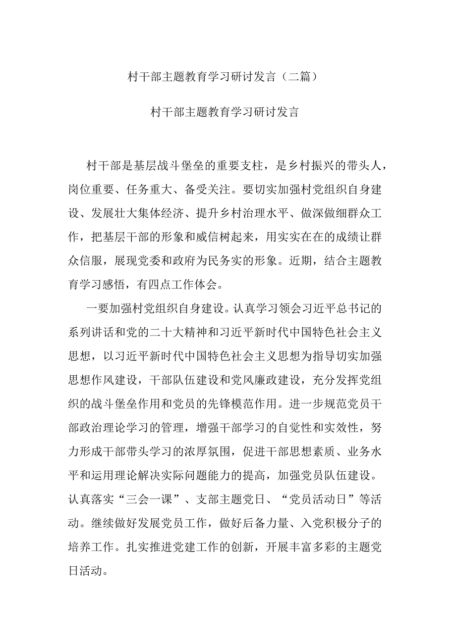 村干部主题教育学习研讨发言(二篇).docx_第1页