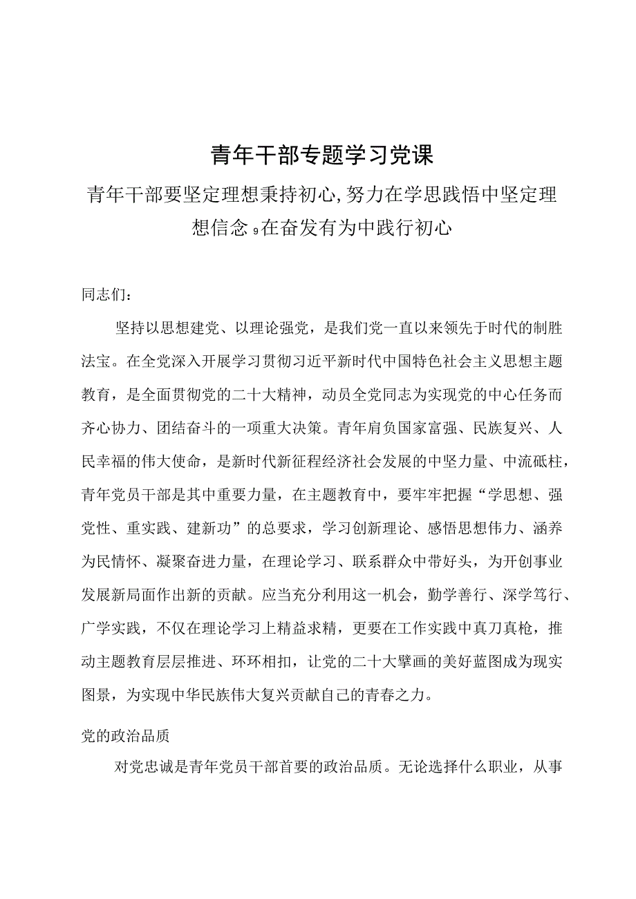 青年干部专题学习党课：青年干部要坚定理想秉持初心努力在学思践悟中坚定理想信念在奋发有为中践行初心.docx_第1页