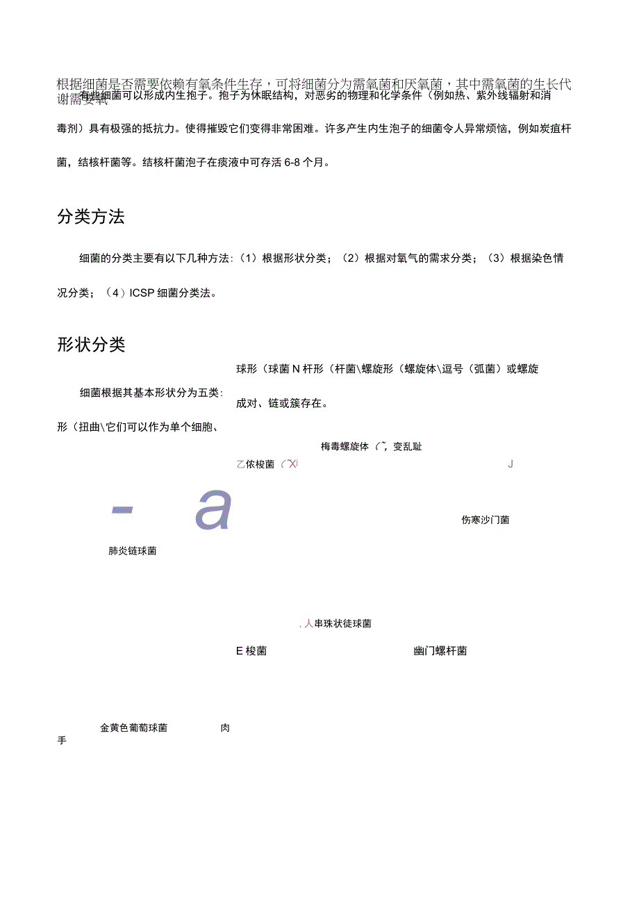 细菌概述、分类与结构特点.docx_第2页