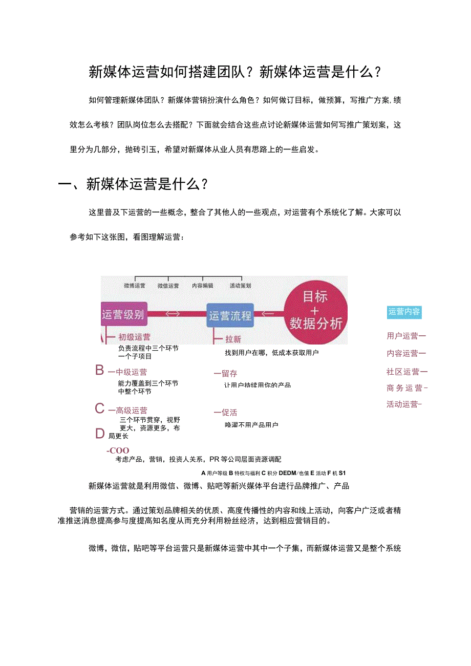 新媒体运营如何搭建团队.docx_第1页