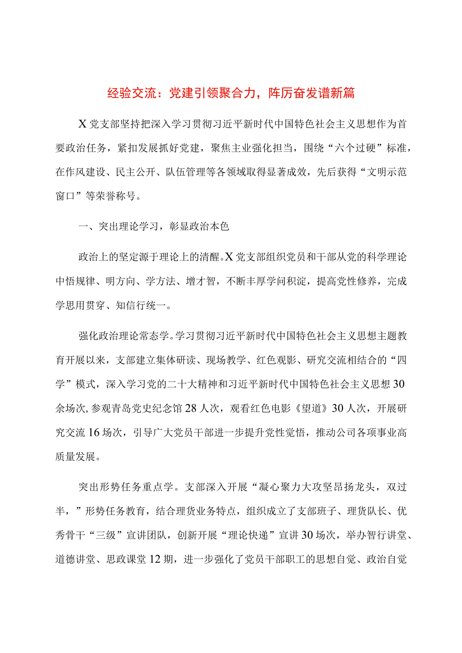 经验交流：党建引领聚合力踔厉奋发谱新篇.docx_第1页