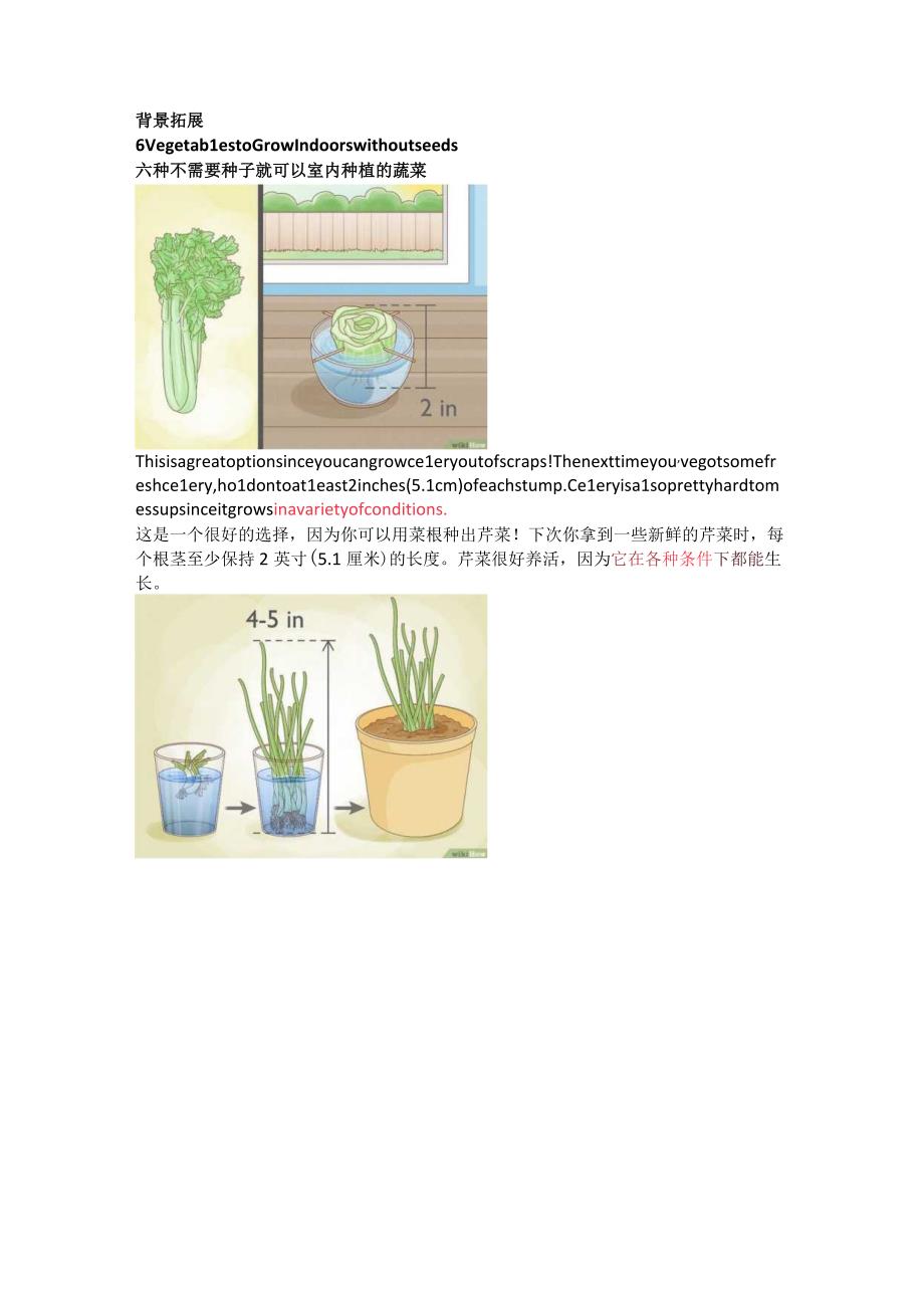 每日热词-4.29 每日热词 grow vegetables 种菜.docx_第3页