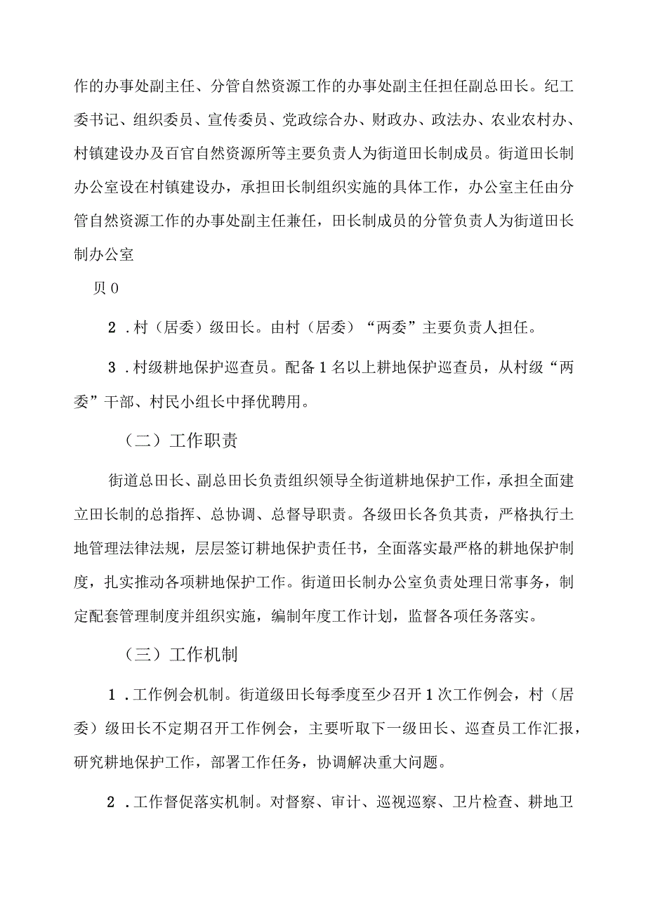 街道全面推行田长制落实最严格的耕地保护制度的实施方案.docx_第2页