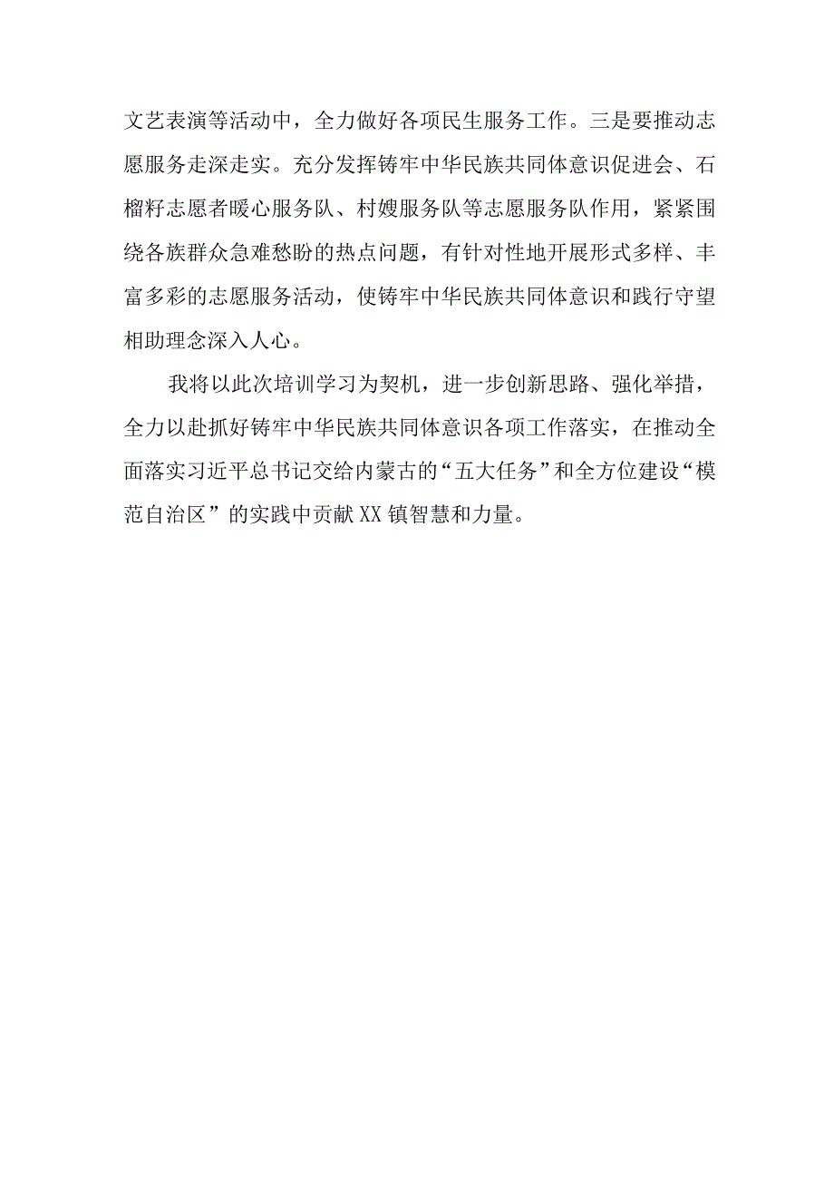 （6篇）2023学习“铸牢中华民族共同体意识推进新时代党的民族工作高质量发展”心得体会研讨发言.docx_第3页