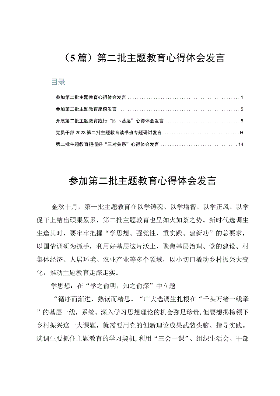 （5篇）第二批主题教育心得体会发言.docx_第1页