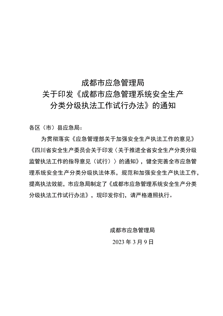 成都市应急管理系统安全生产分类分级执法工作试行办法.docx_第1页