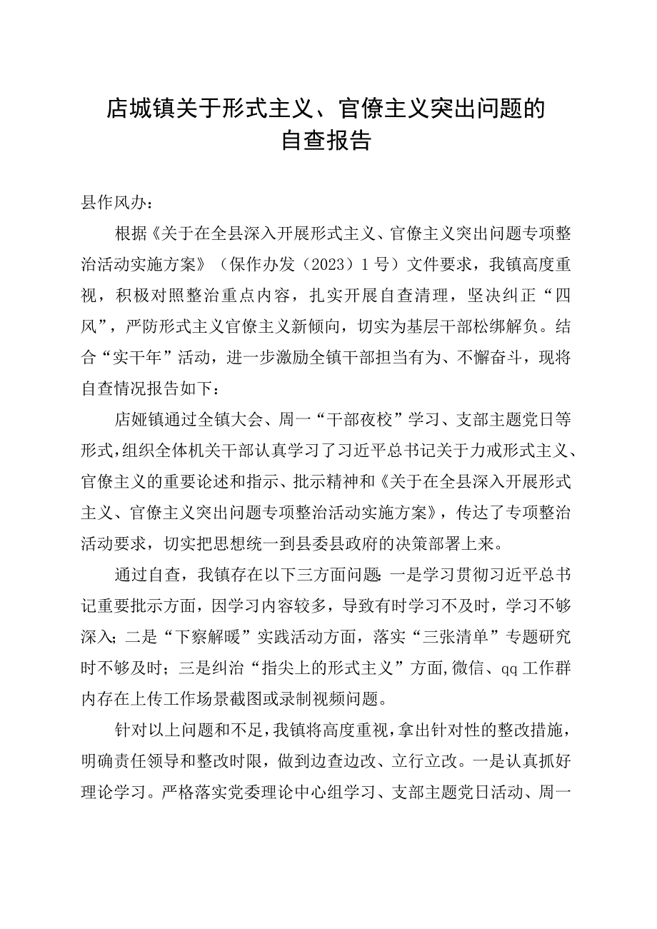 店垭镇镇关于形式主义、官僚主义问题的自查报告.docx_第1页