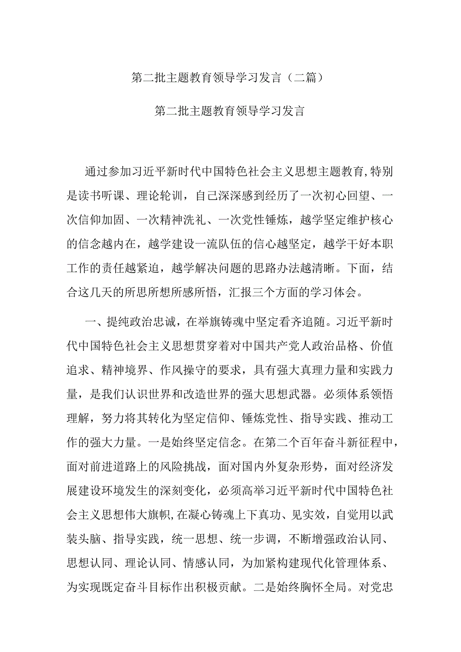 第二批主题教育领导学习发言(二篇).docx_第1页