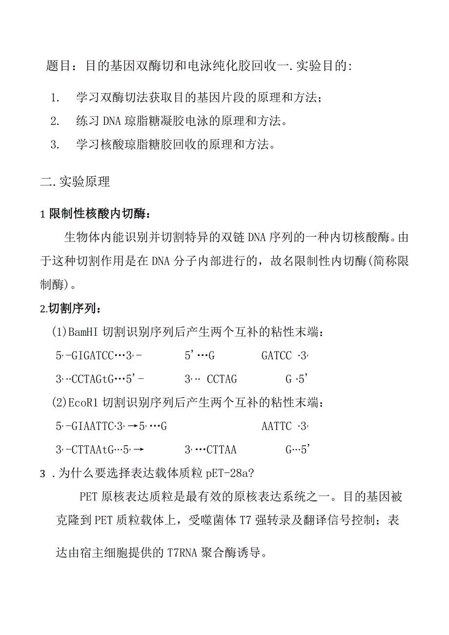 目的基因双酶切和电泳纯化胶回收实验报告.docx_第1页