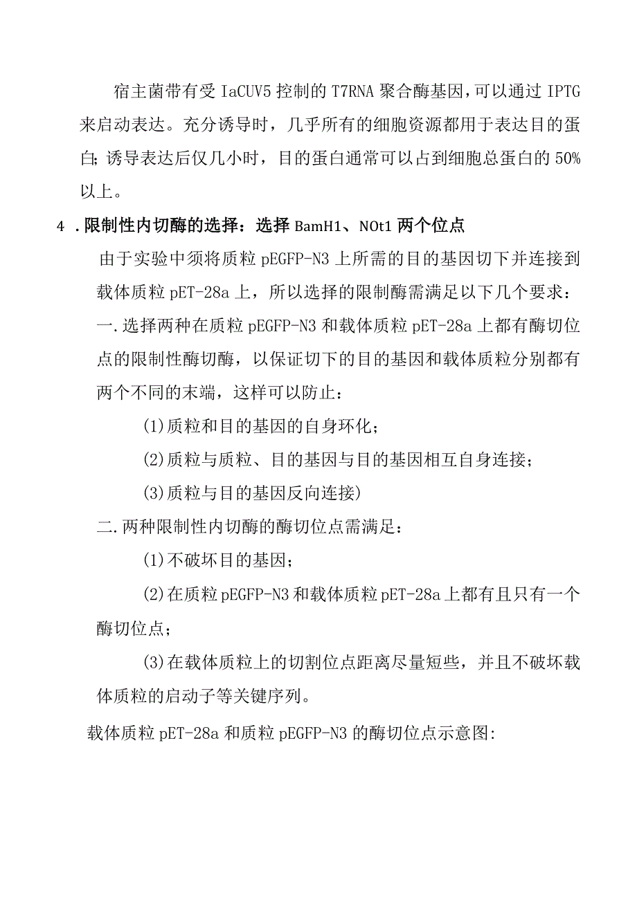 目的基因双酶切和电泳纯化胶回收实验报告.docx_第2页