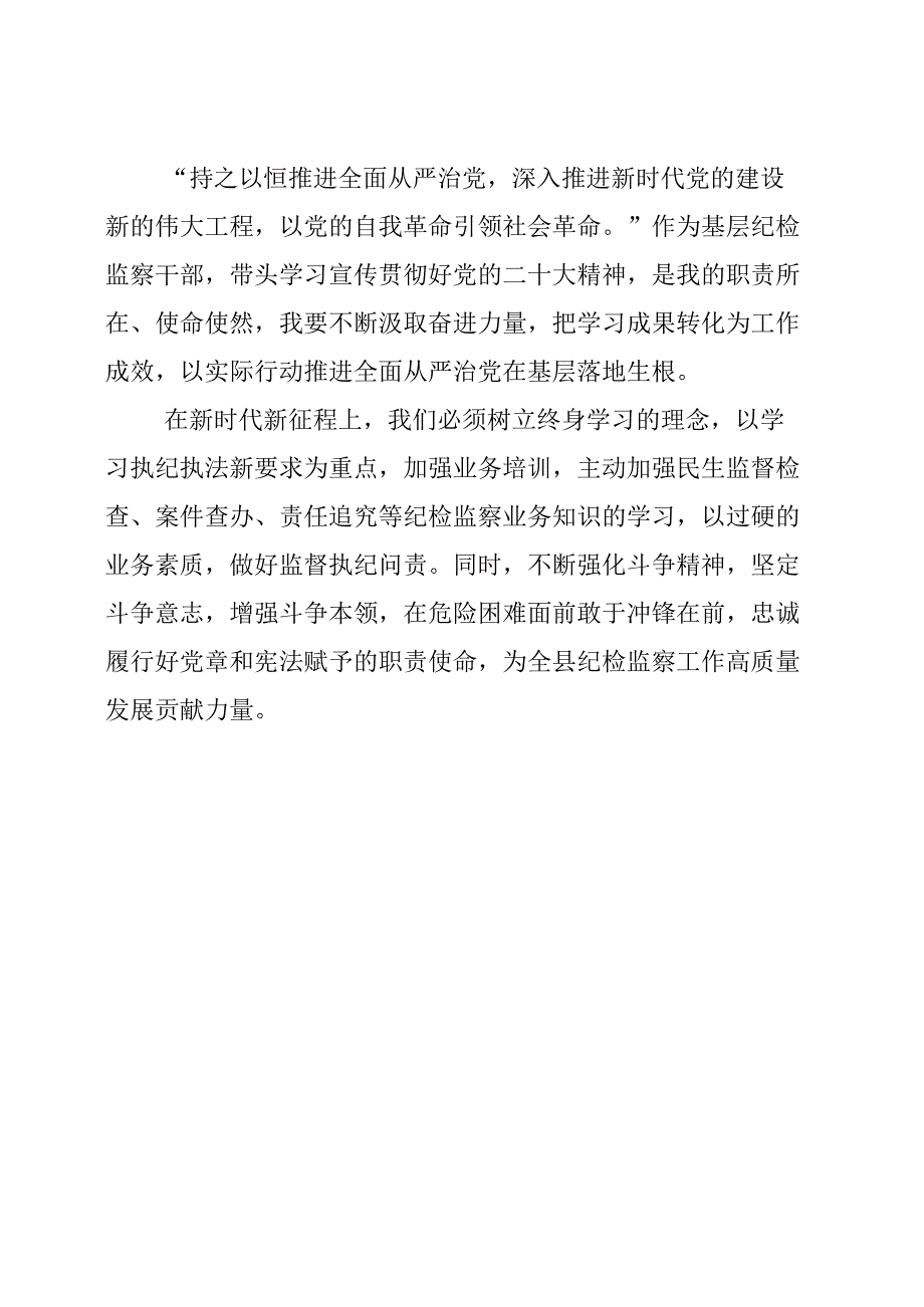 纪检监察干部学习贯彻党的二十大精神暨专业能力提升培训分享.docx_第3页