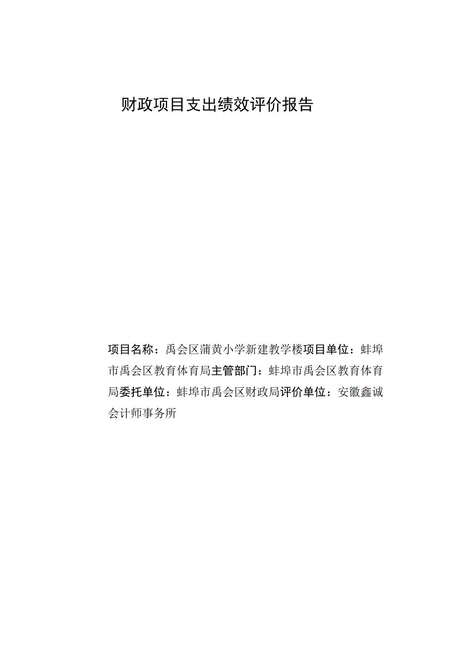 财政项目支出绩效评价报告.docx_第1页