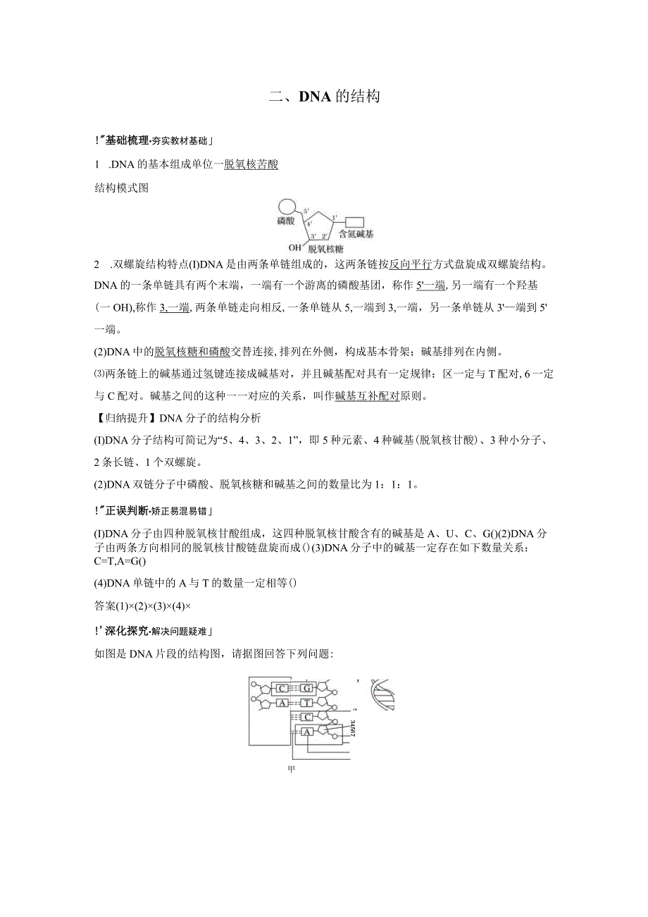 第3章 第2节DNA的结构 导学课件（26张PPT）+讲义.docx_第2页