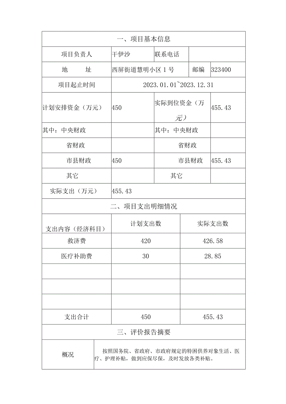 重点项目支出绩效评价报告.docx_第2页