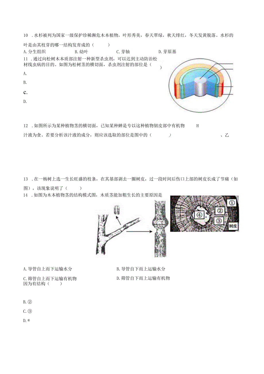 苏教版七年级上册《3.5.4 植物茎的输导功能》2023年同步练习卷（2）（附答案详解）.docx_第2页
