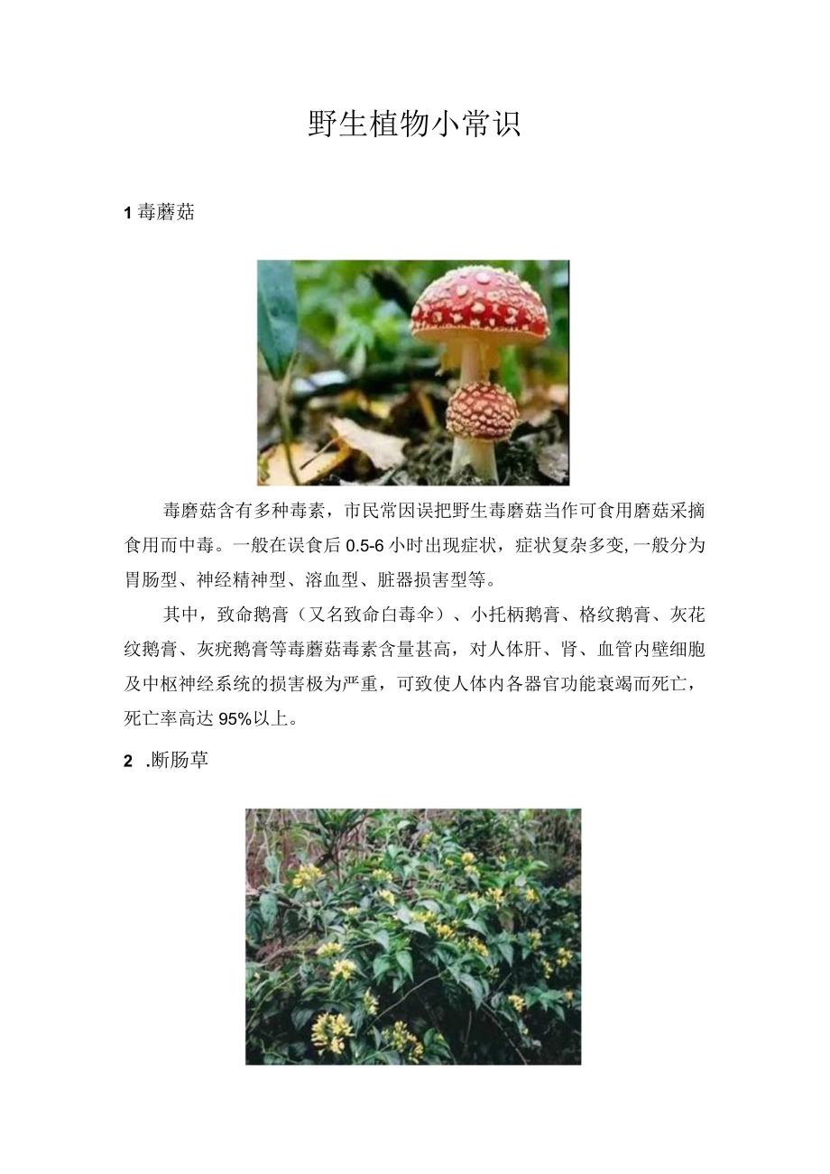 野生植物小常识.docx_第1页