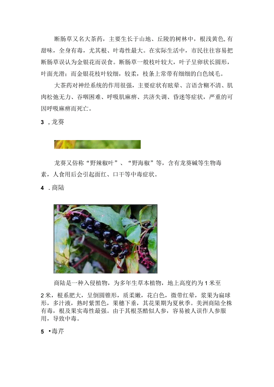 野生植物小常识.docx_第2页