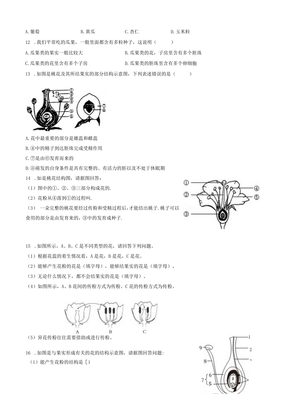 苏教版七年级上册《3.5.5 植物的开花和结果（第2课时）》2023年同步练习（1）（附答案详解）.docx_第3页