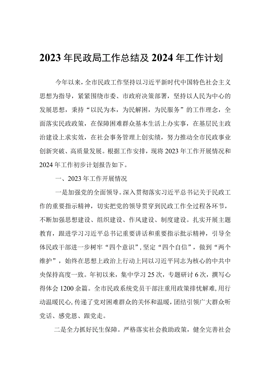 2023年民政局工作总结及2024年工作计划.docx_第1页