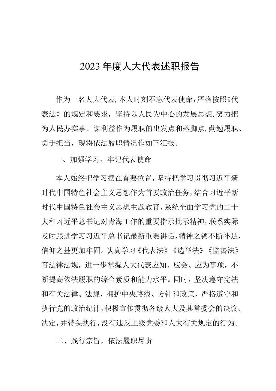 2023年度人大代表述职报告（县长）.docx_第1页