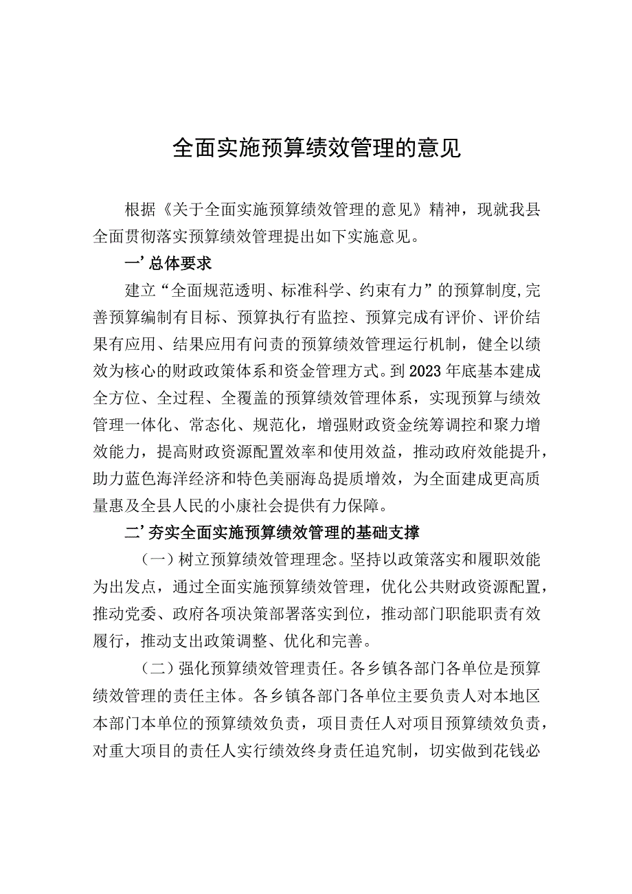 全面实施预算绩效管理的意见.docx_第1页